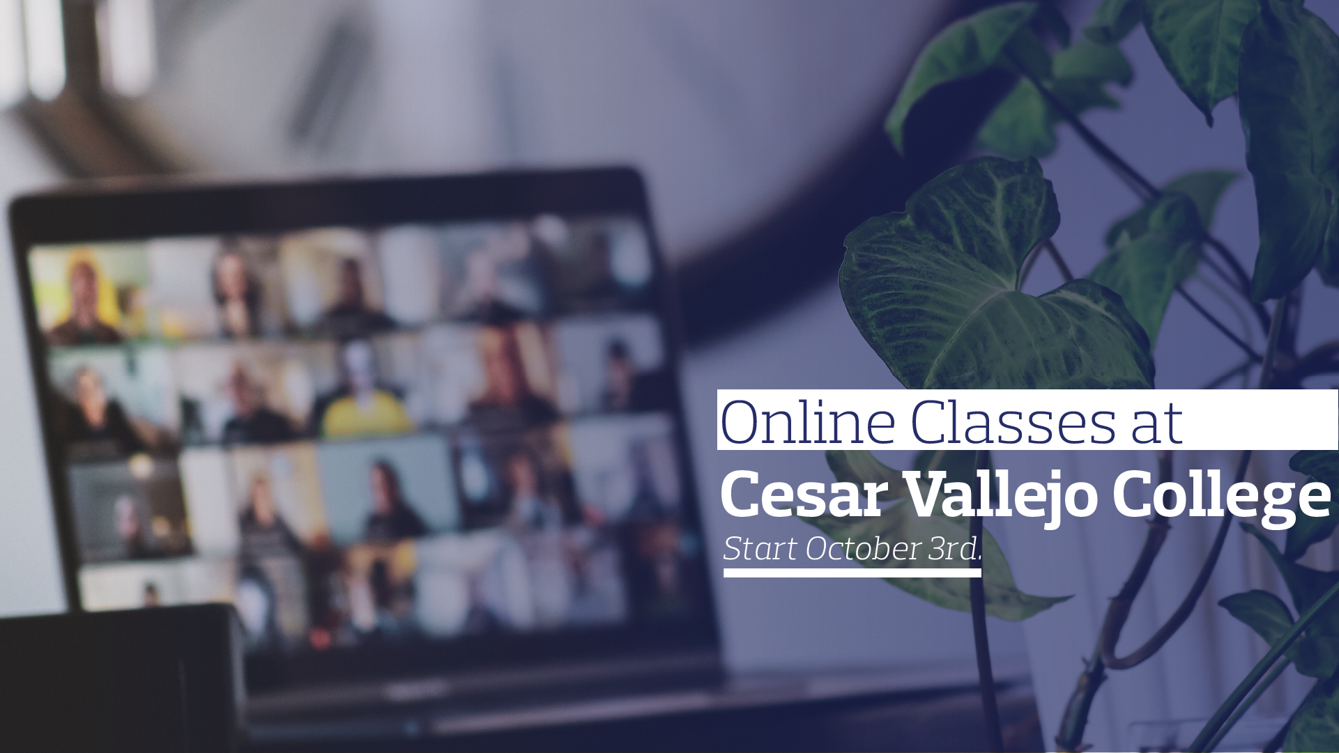 Online Classes at CVC
